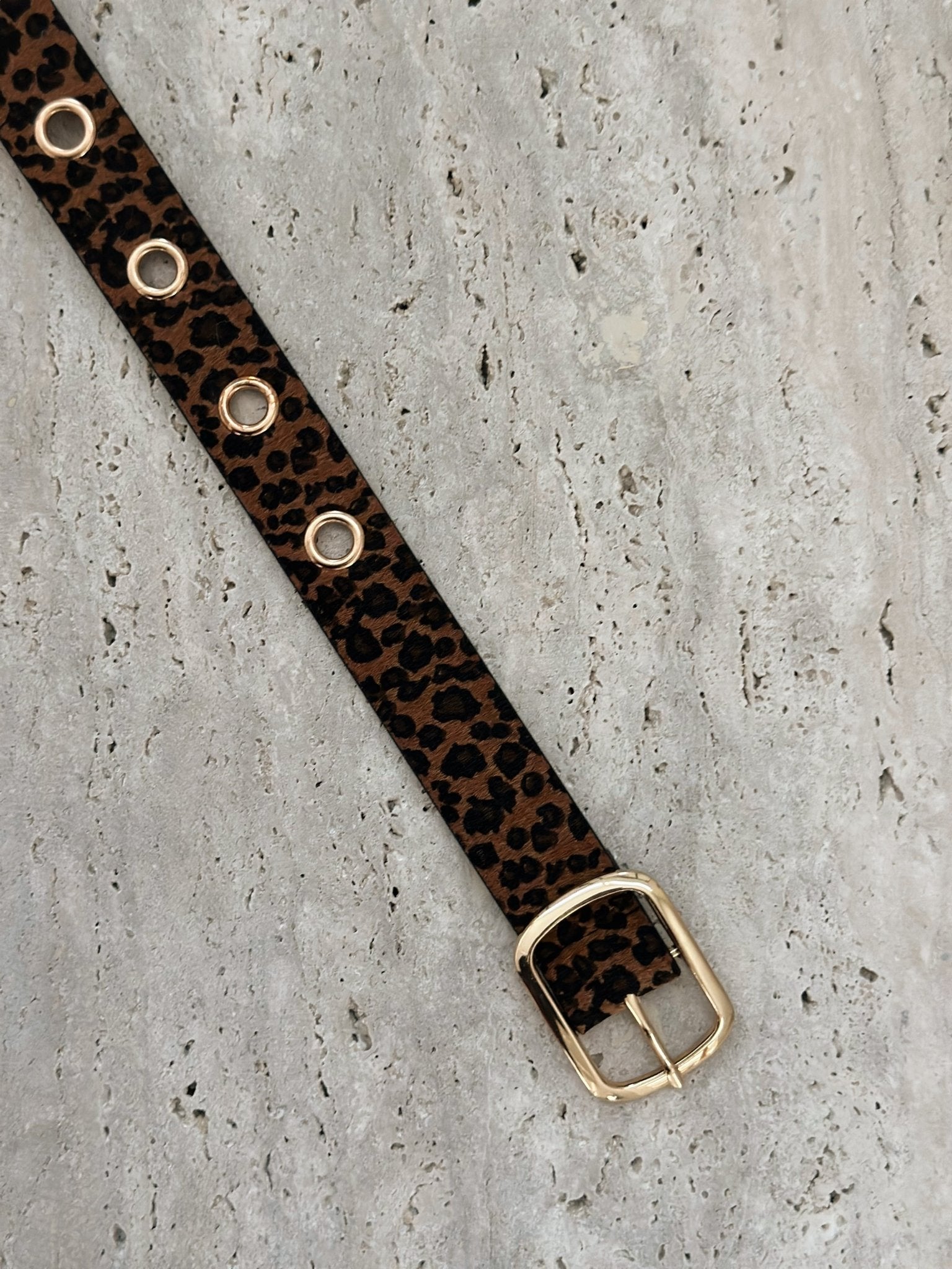 La ceinture Alia léopard