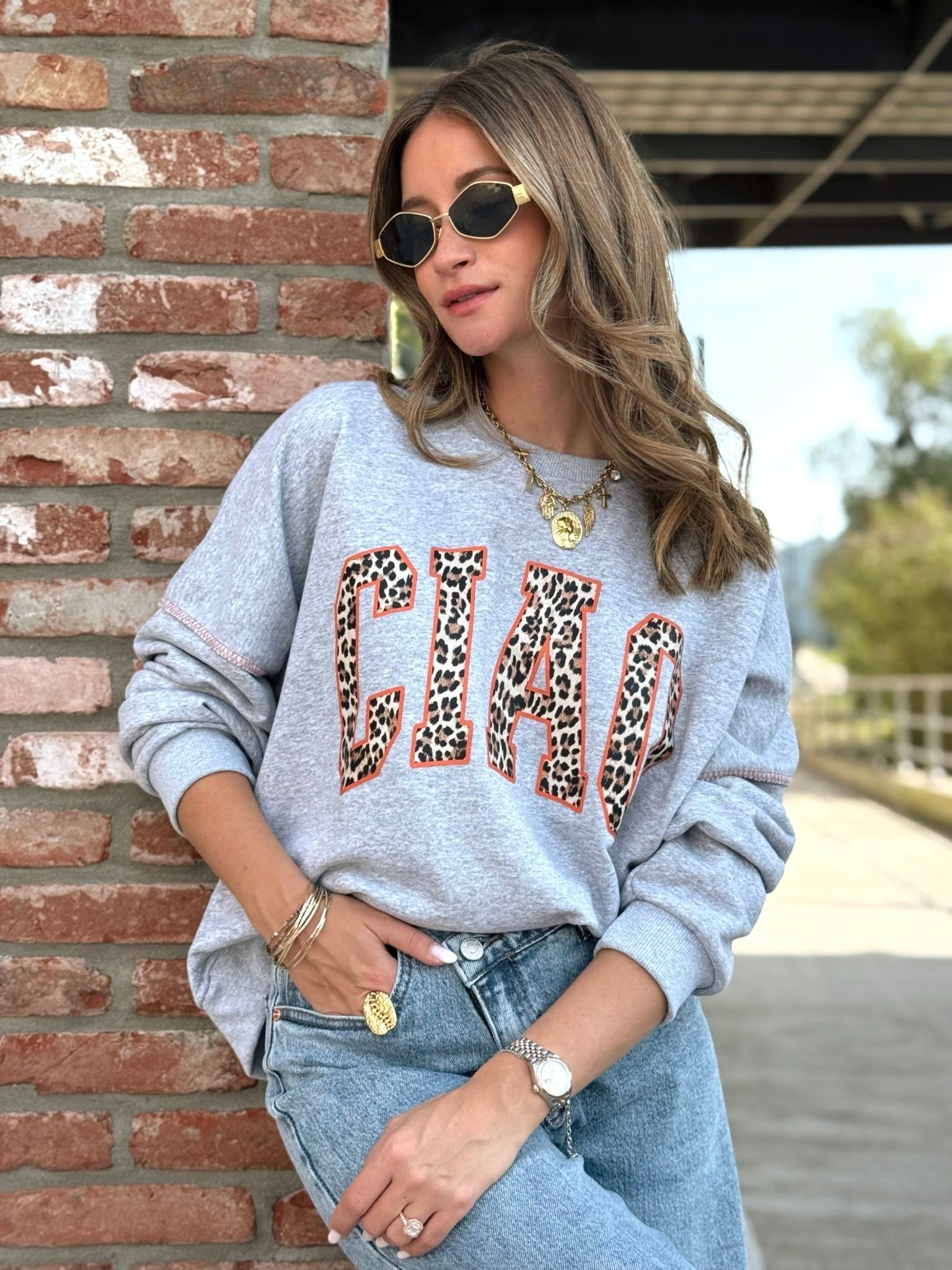 Le pull Fanny Gris